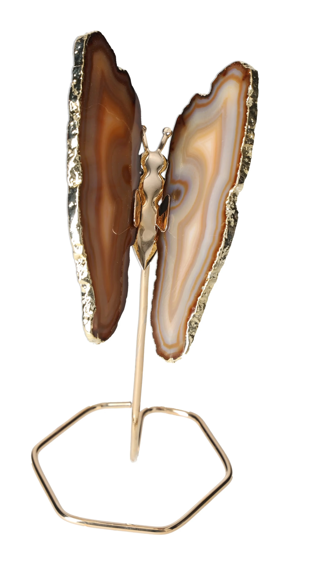 orbitvu|type:image2d