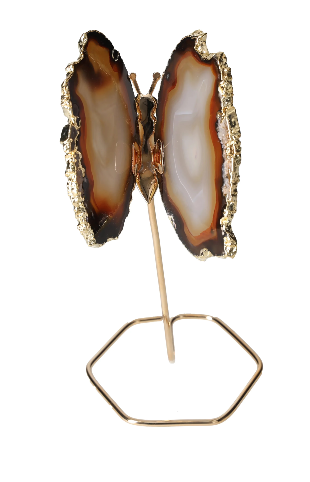 orbitvu|type:image2d