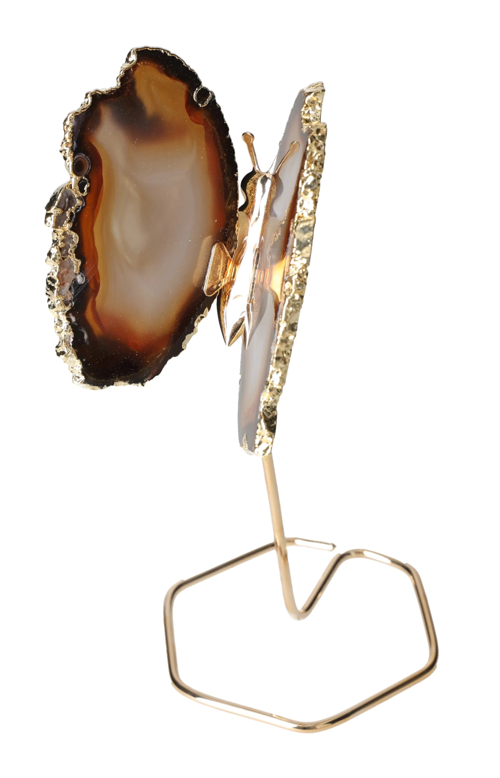 orbitvu|type:image2d