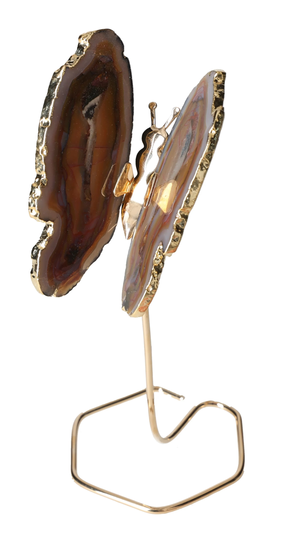 orbitvu|type:image2d