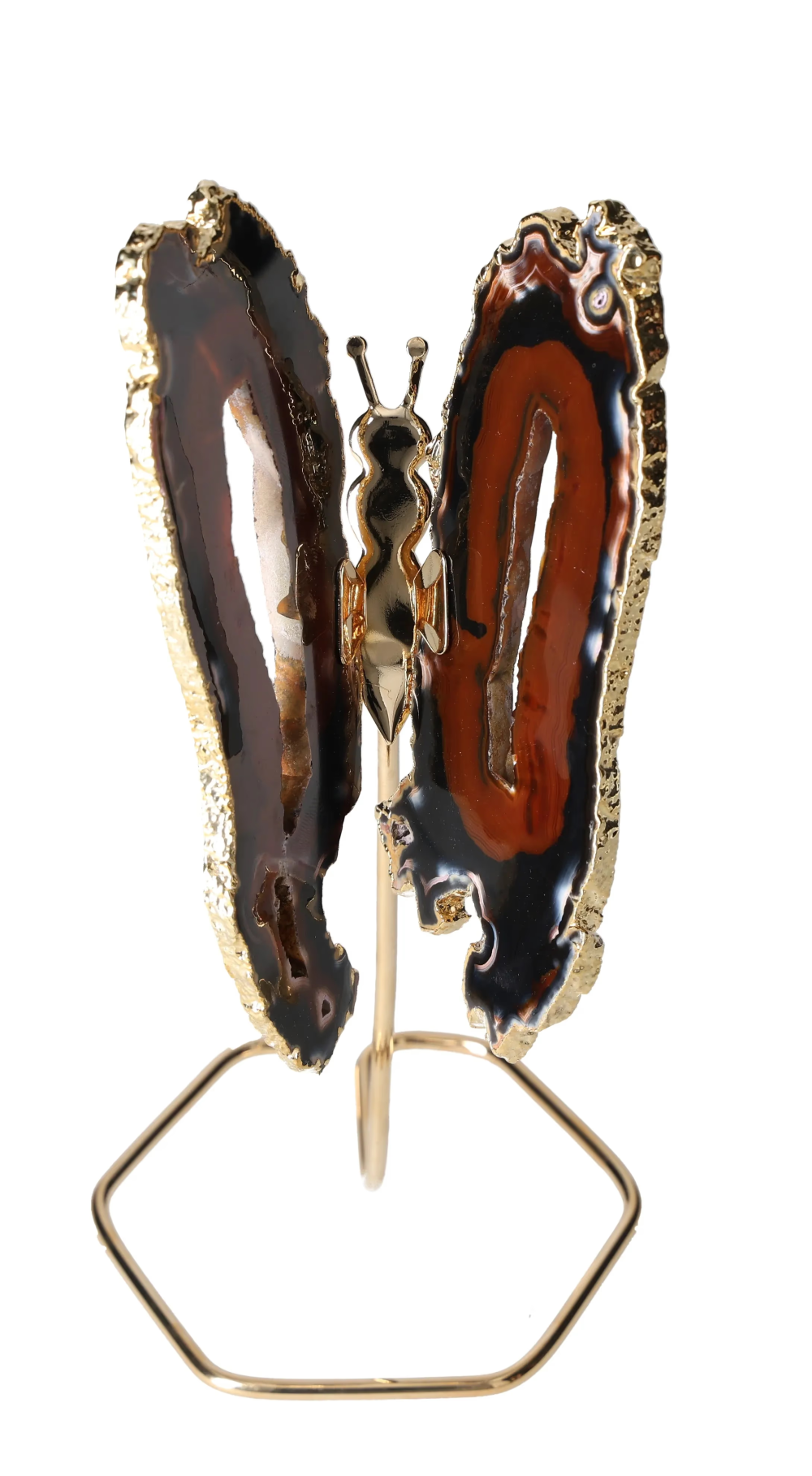 orbitvu|type:image2d