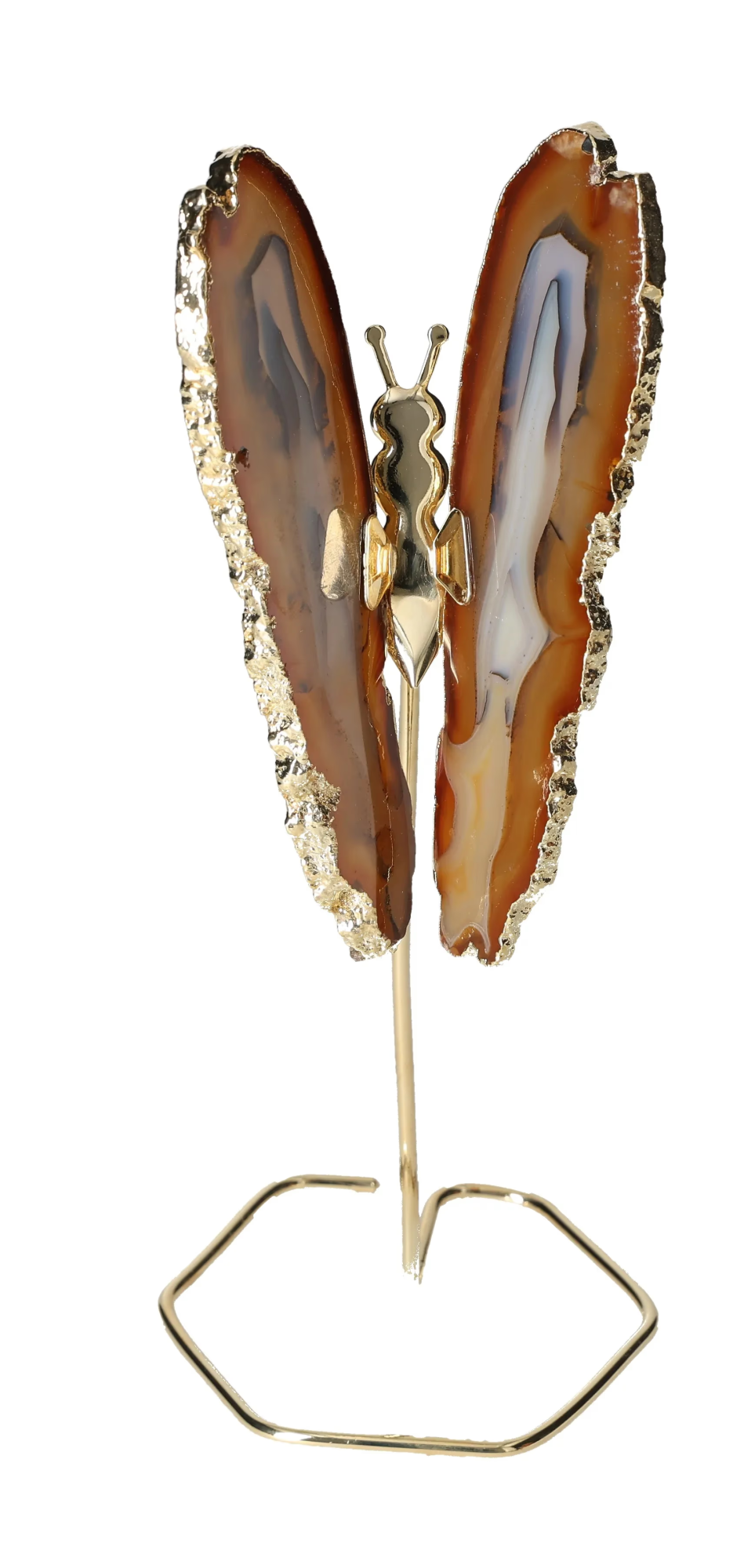 orbitvu|type:image2d