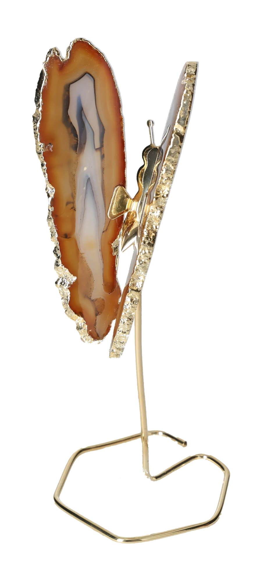 orbitvu|type:image2d