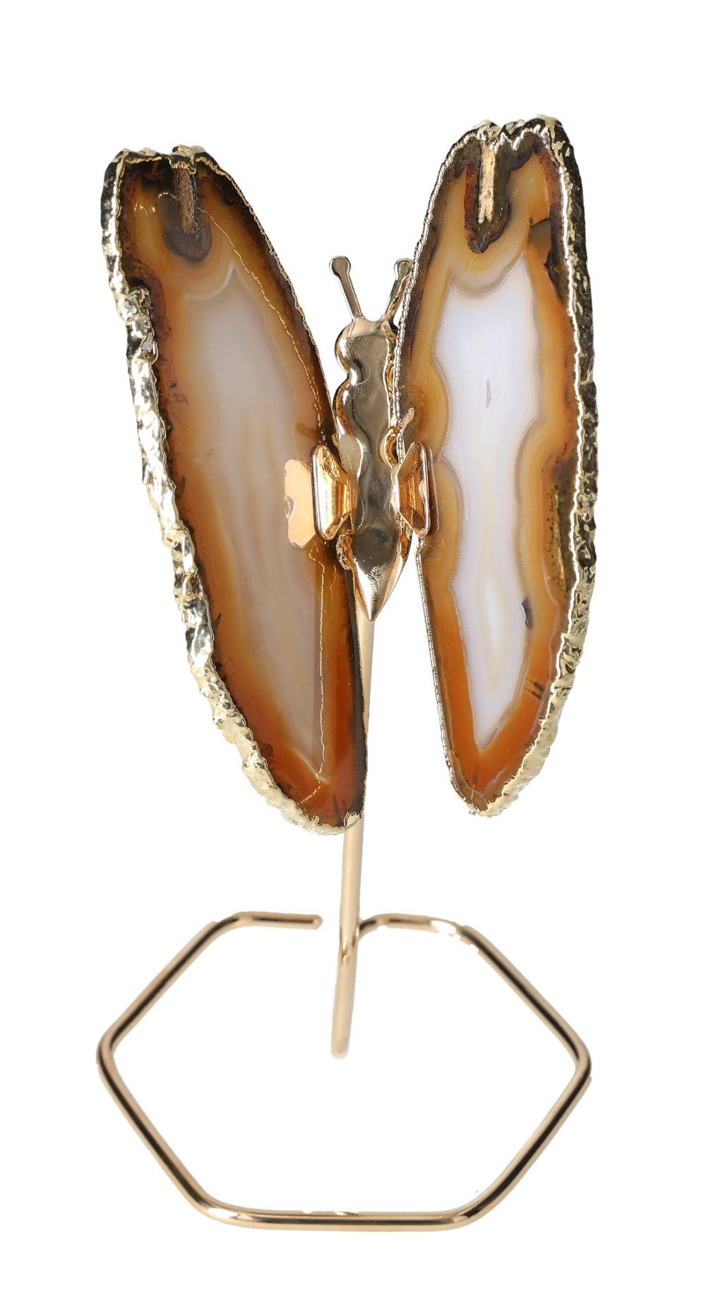 orbitvu|type:image2d