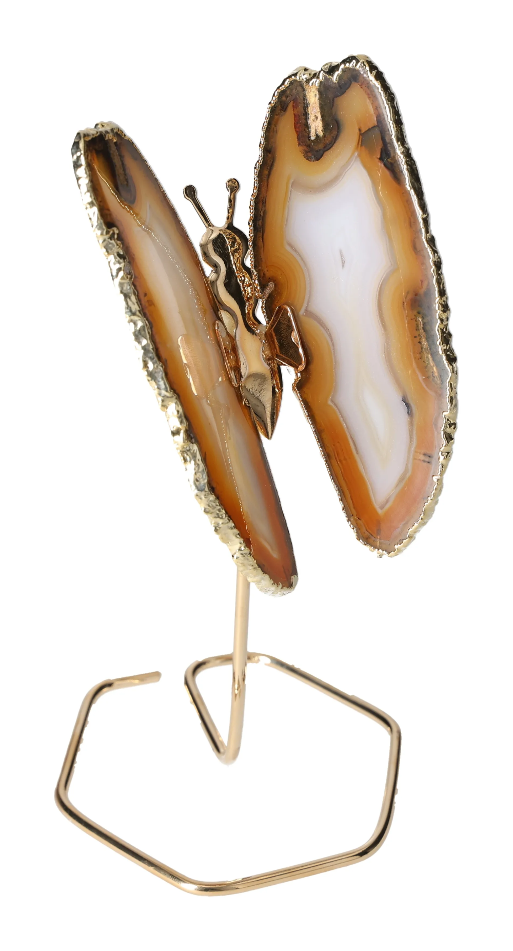 orbitvu|type:image2d