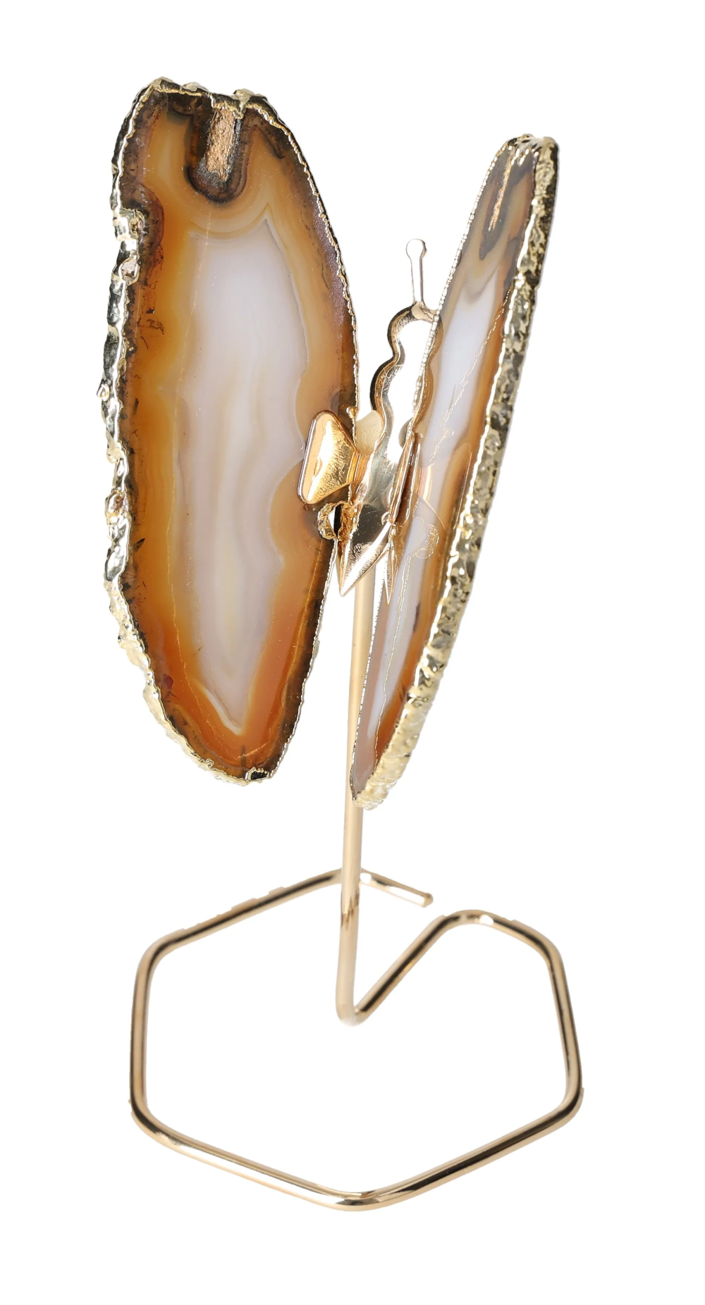 orbitvu|type:image2d