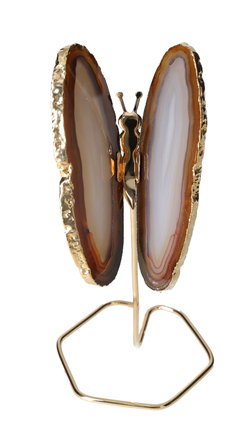 orbitvu|type:image2d