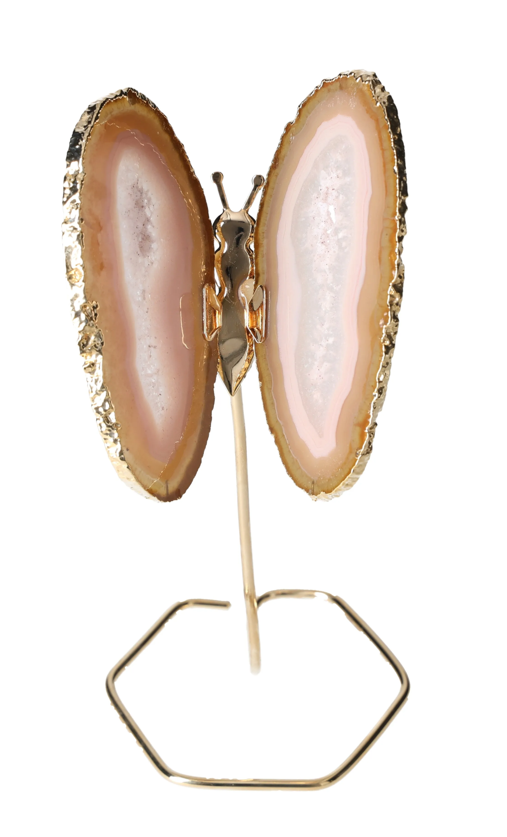 orbitvu|type:image2d