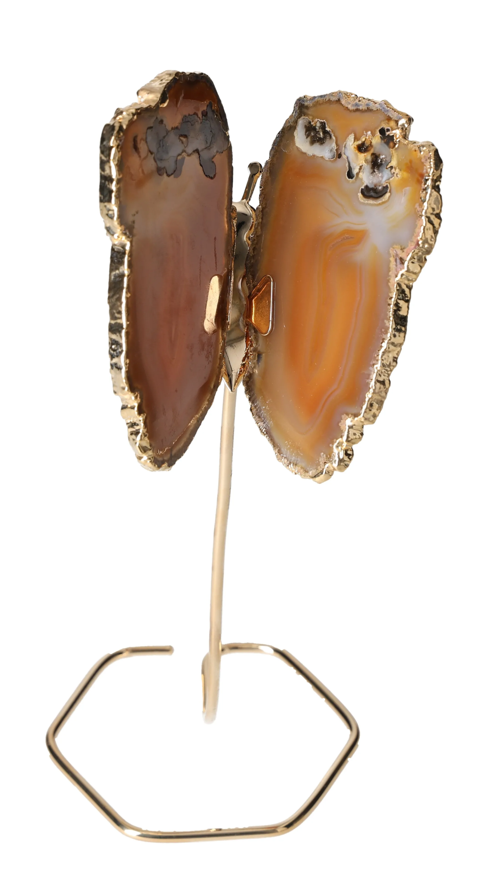 orbitvu|type:image2d