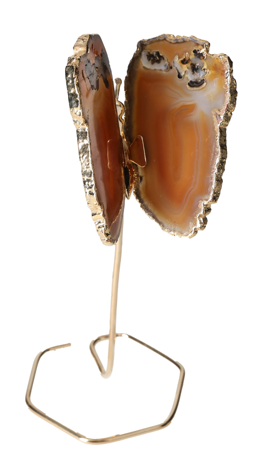 orbitvu|type:image2d