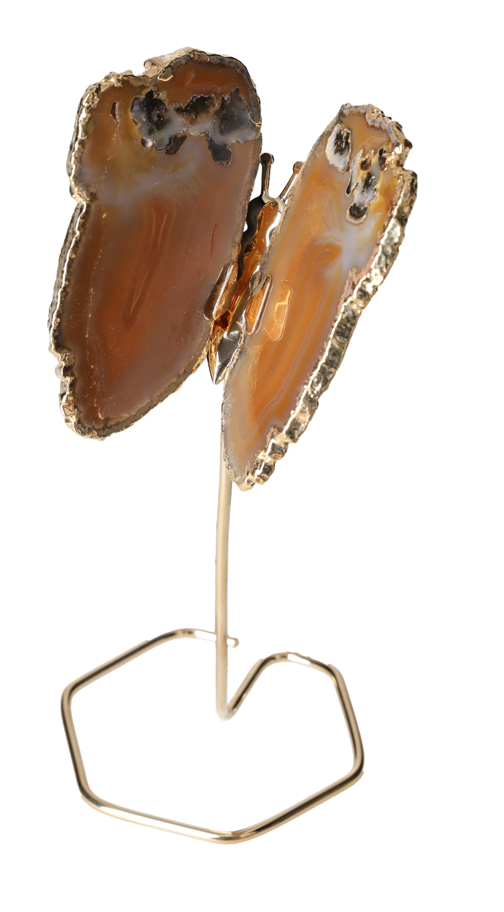 orbitvu|type:image2d