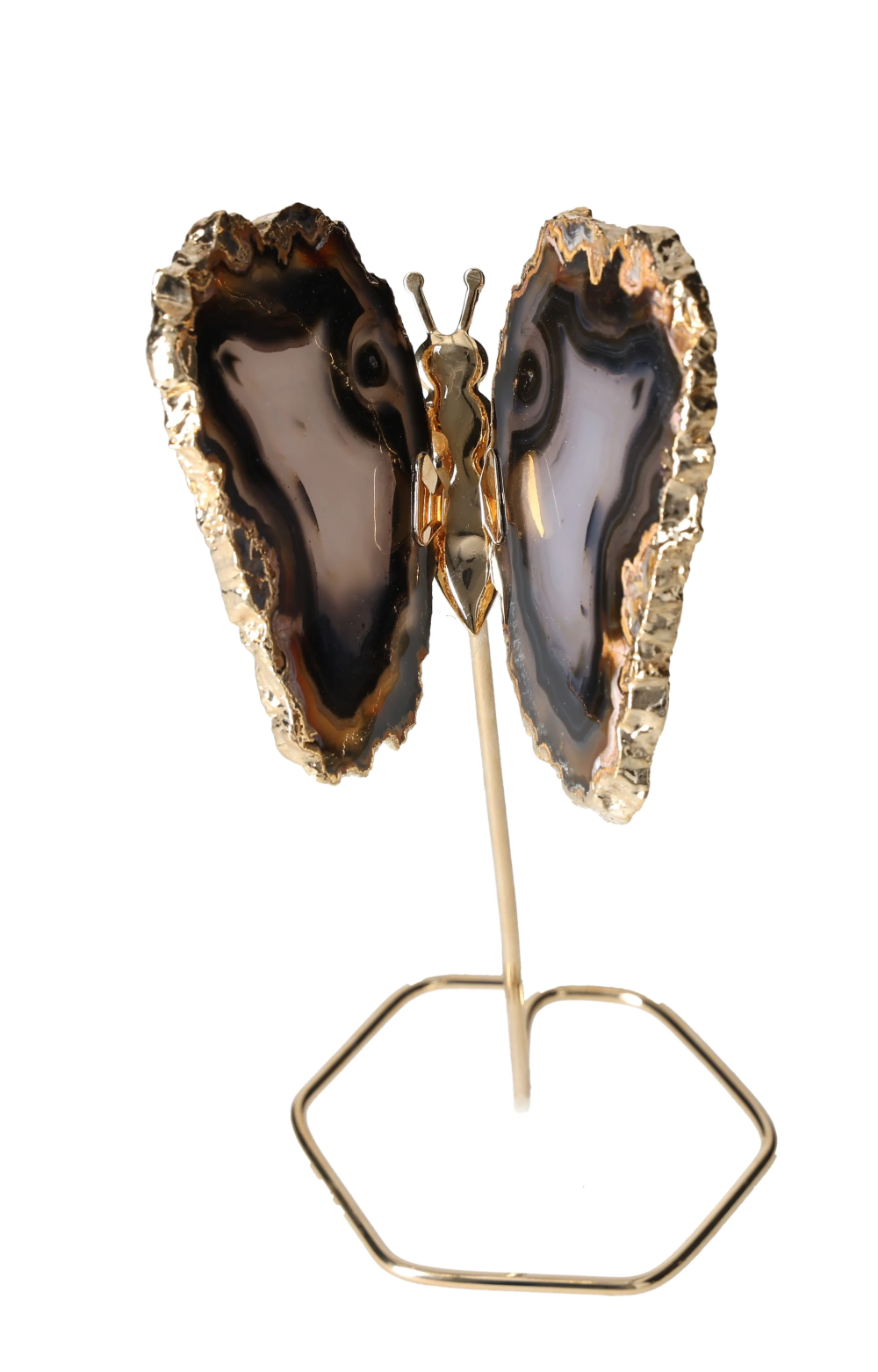 orbitvu|type:image2d