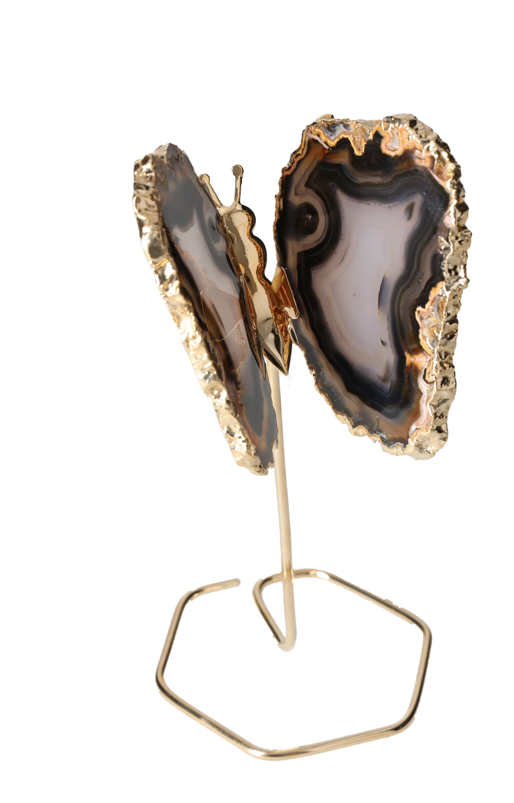 orbitvu|type:image2d