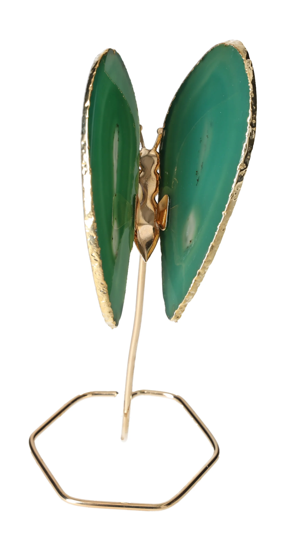 orbitvu|type:image2d