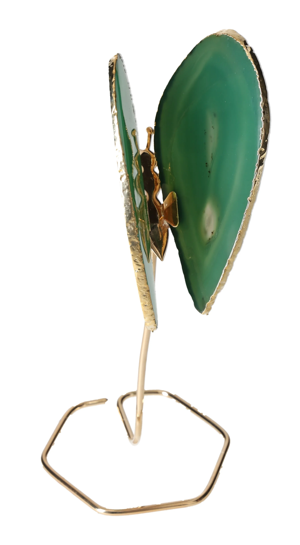 orbitvu|type:image2d