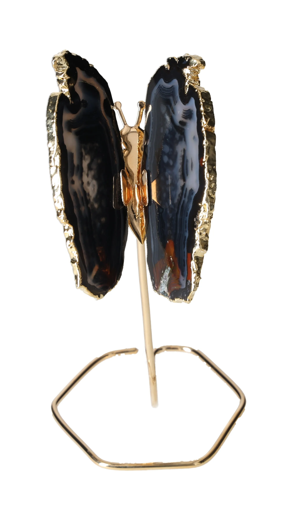 orbitvu|type:image2d