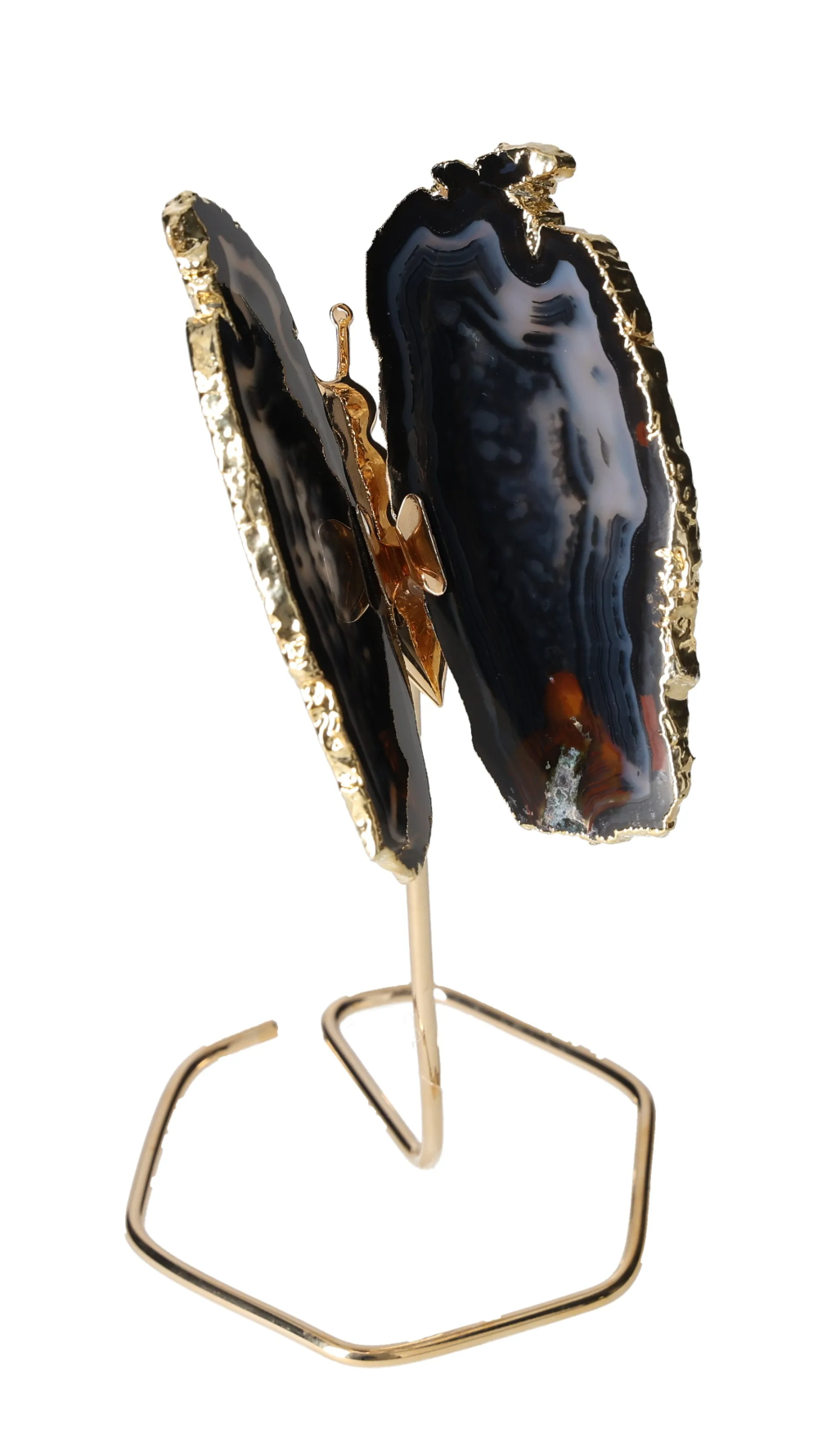 orbitvu|type:image2d