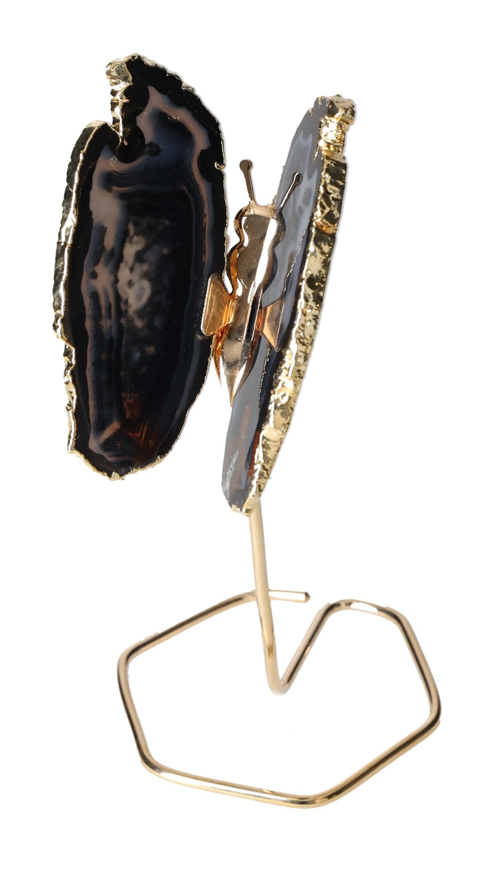 orbitvu|type:image2d