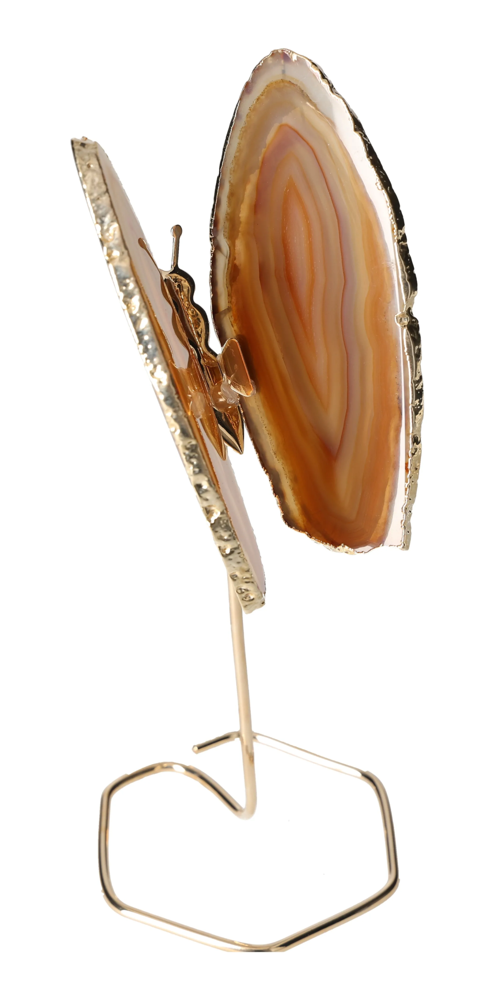 orbitvu|type:image2d