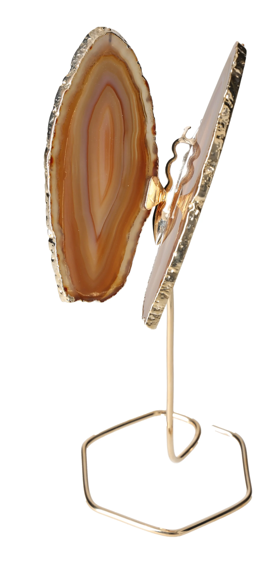 orbitvu|type:image2d