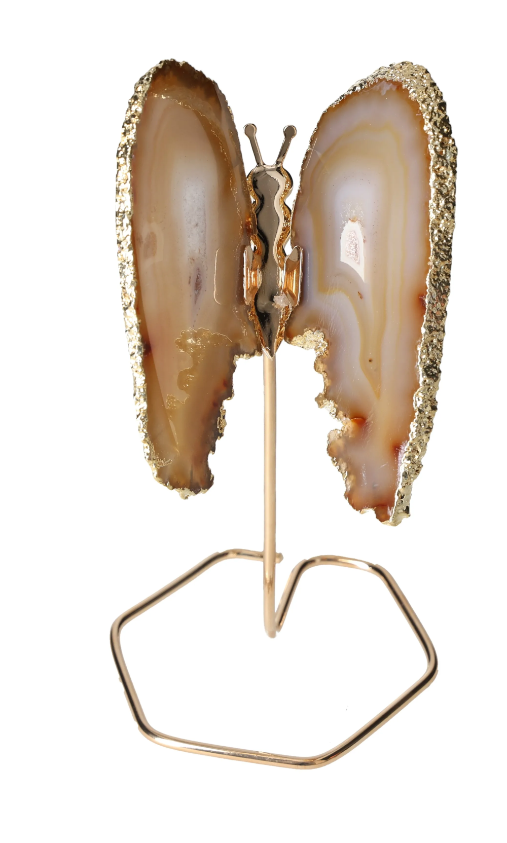 orbitvu|type:image2d