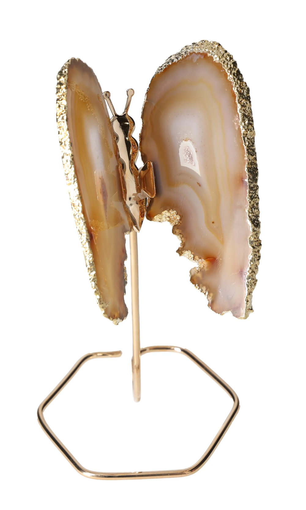 orbitvu|type:image2d