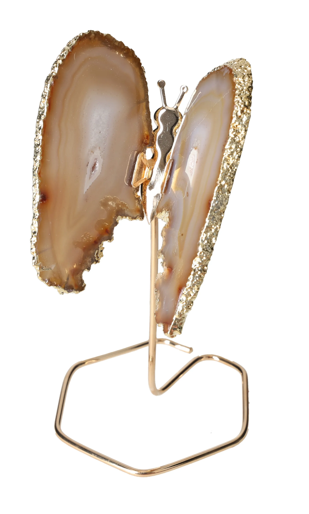 orbitvu|type:image2d