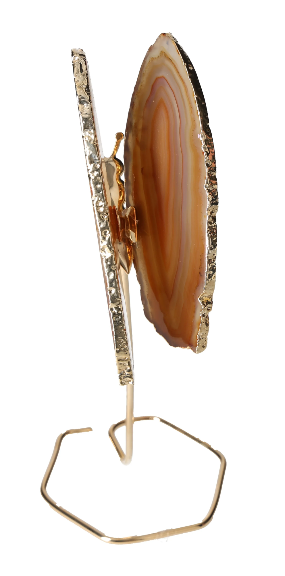 orbitvu|type:image2d