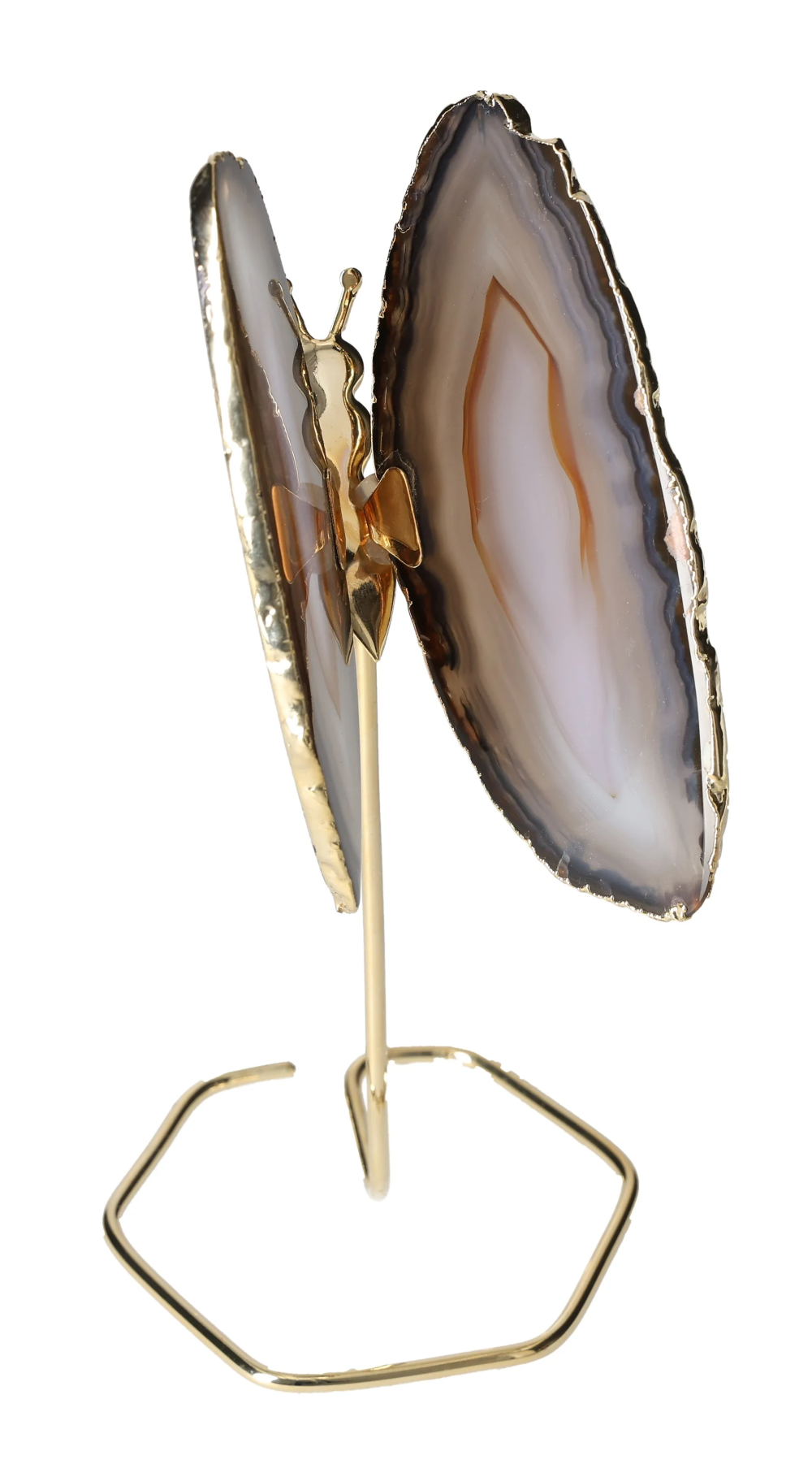 orbitvu|type:image2d