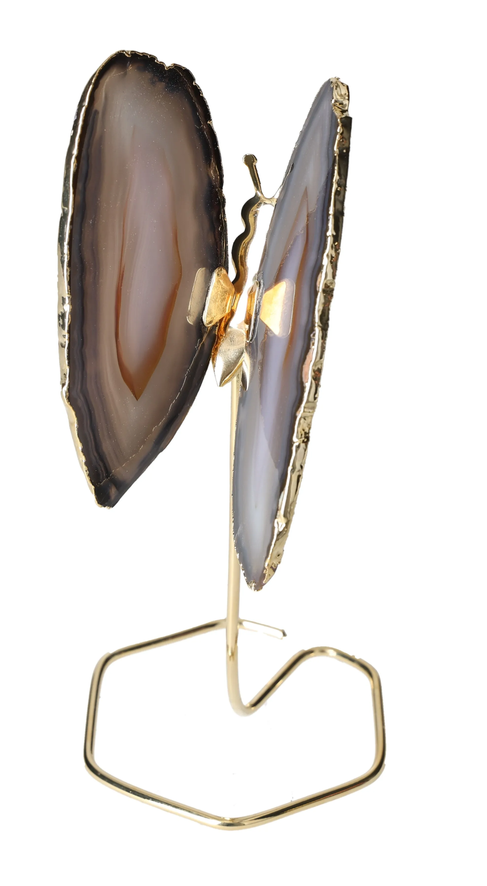 orbitvu|type:image2d