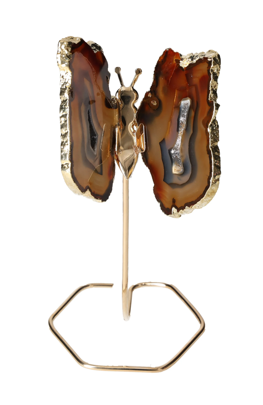 orbitvu|type:image2d