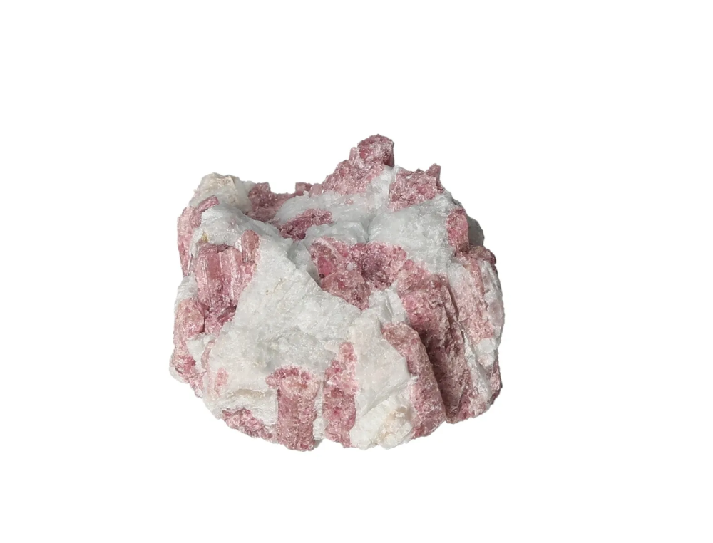 orbitvu|type:image2d