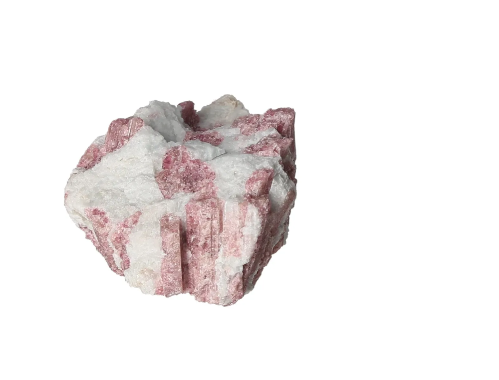 orbitvu|type:image2d