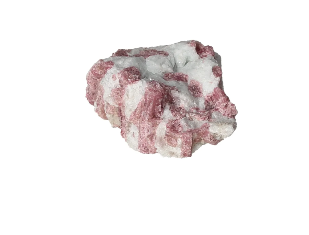 orbitvu|type:image2d