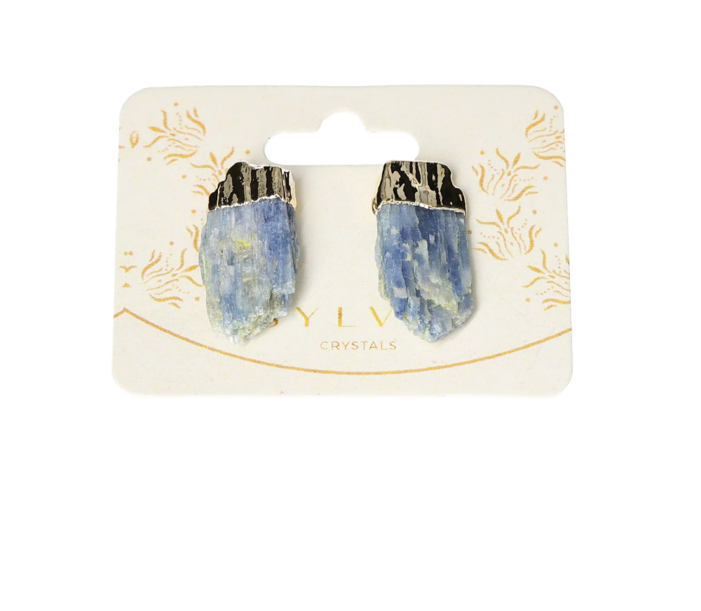 orbitvu|type:image2d