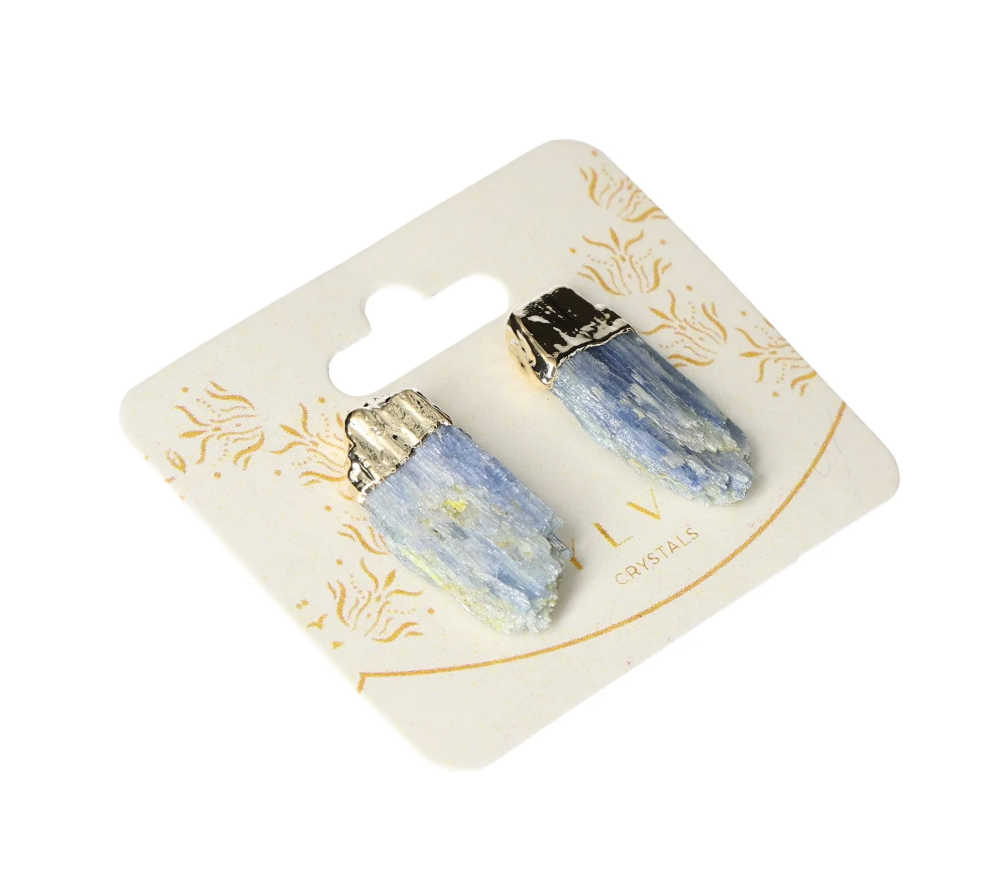 orbitvu|type:image2d