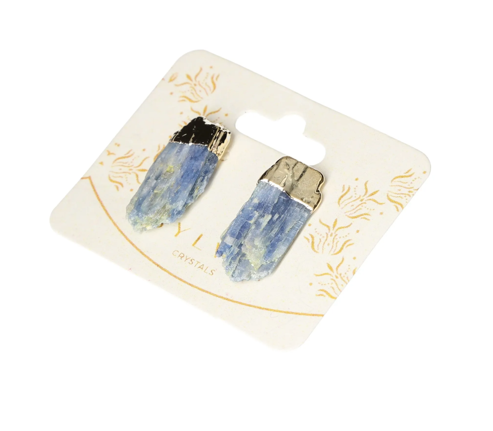 orbitvu|type:image2d