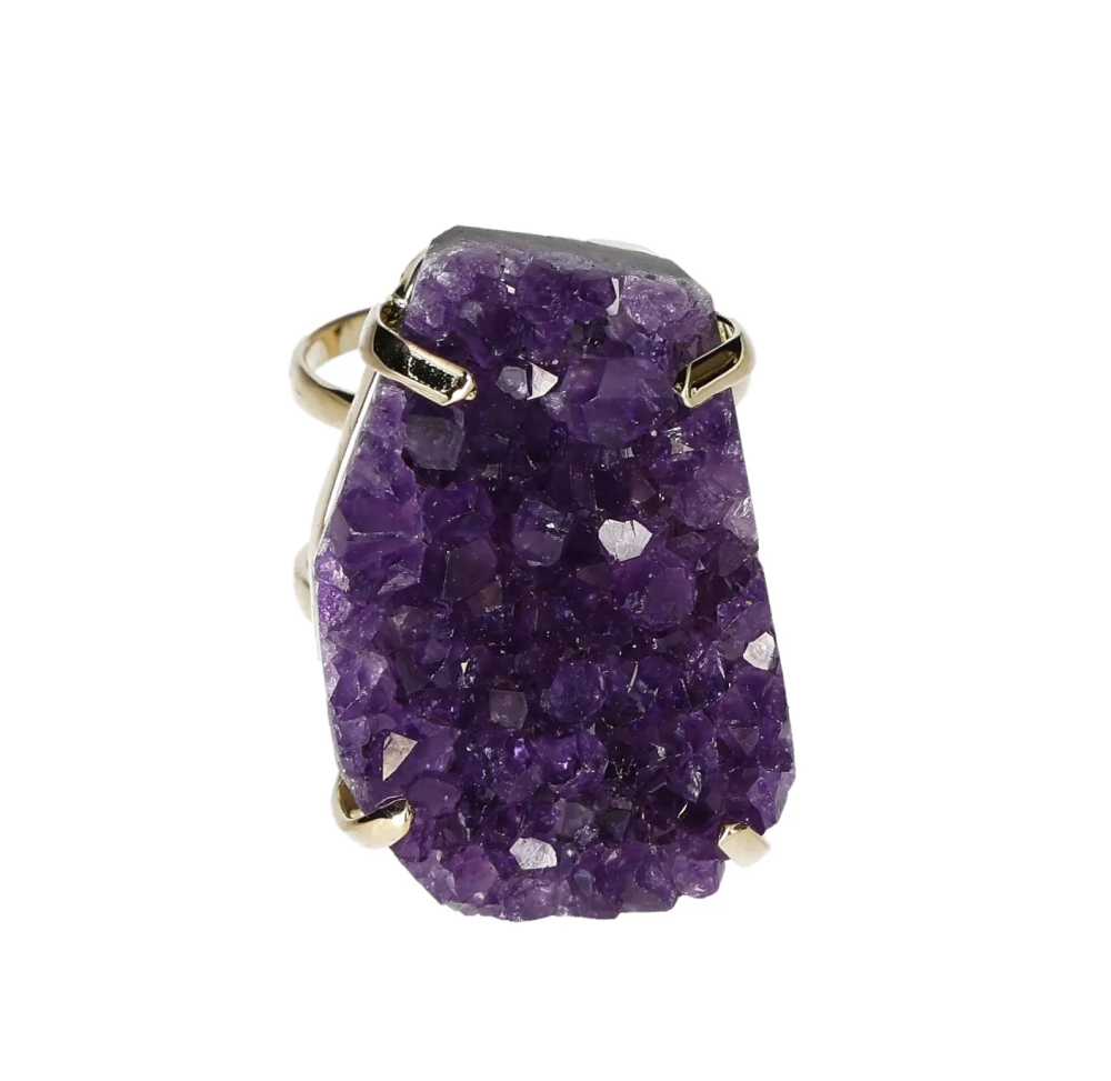 orbitvu|type:image2d