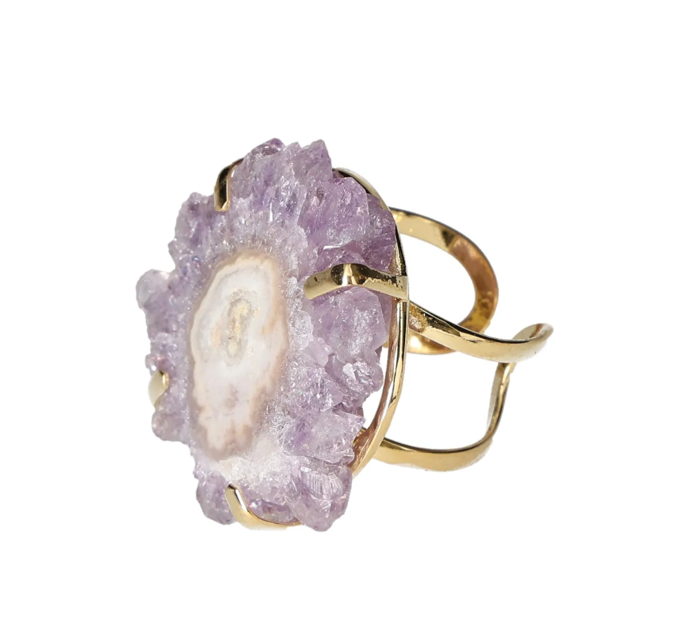 orbitvu|type:image2d