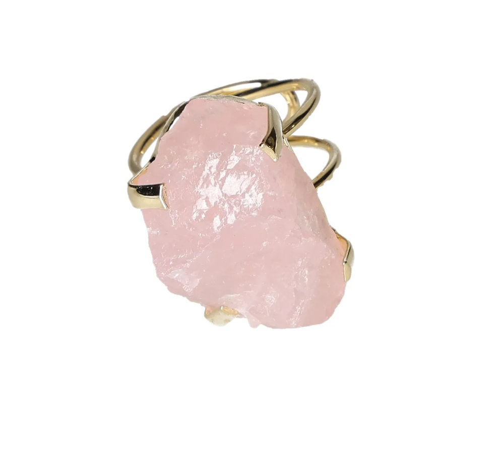 orbitvu|type:image2d