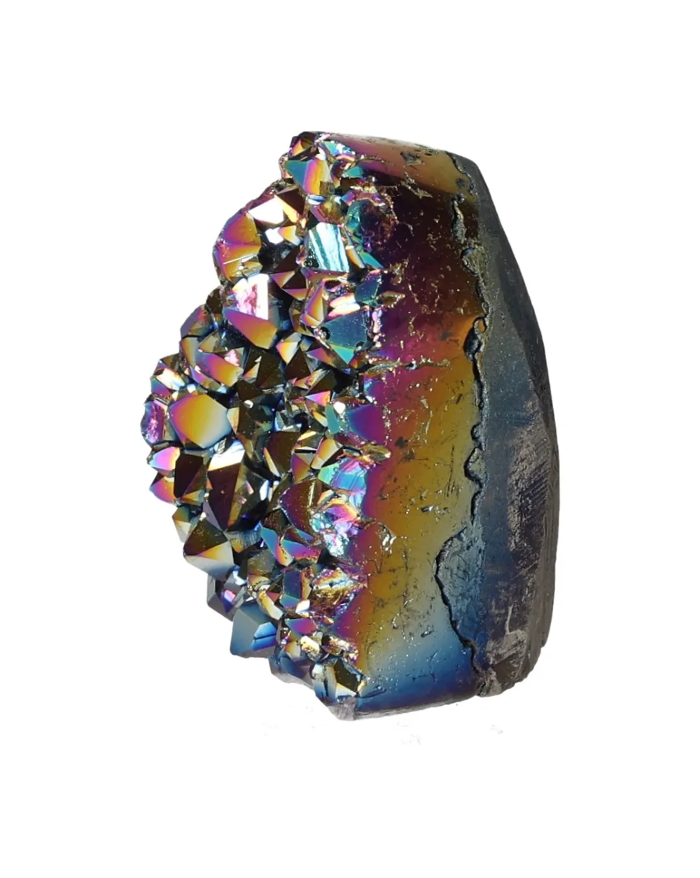 orbitvu|type:image2d