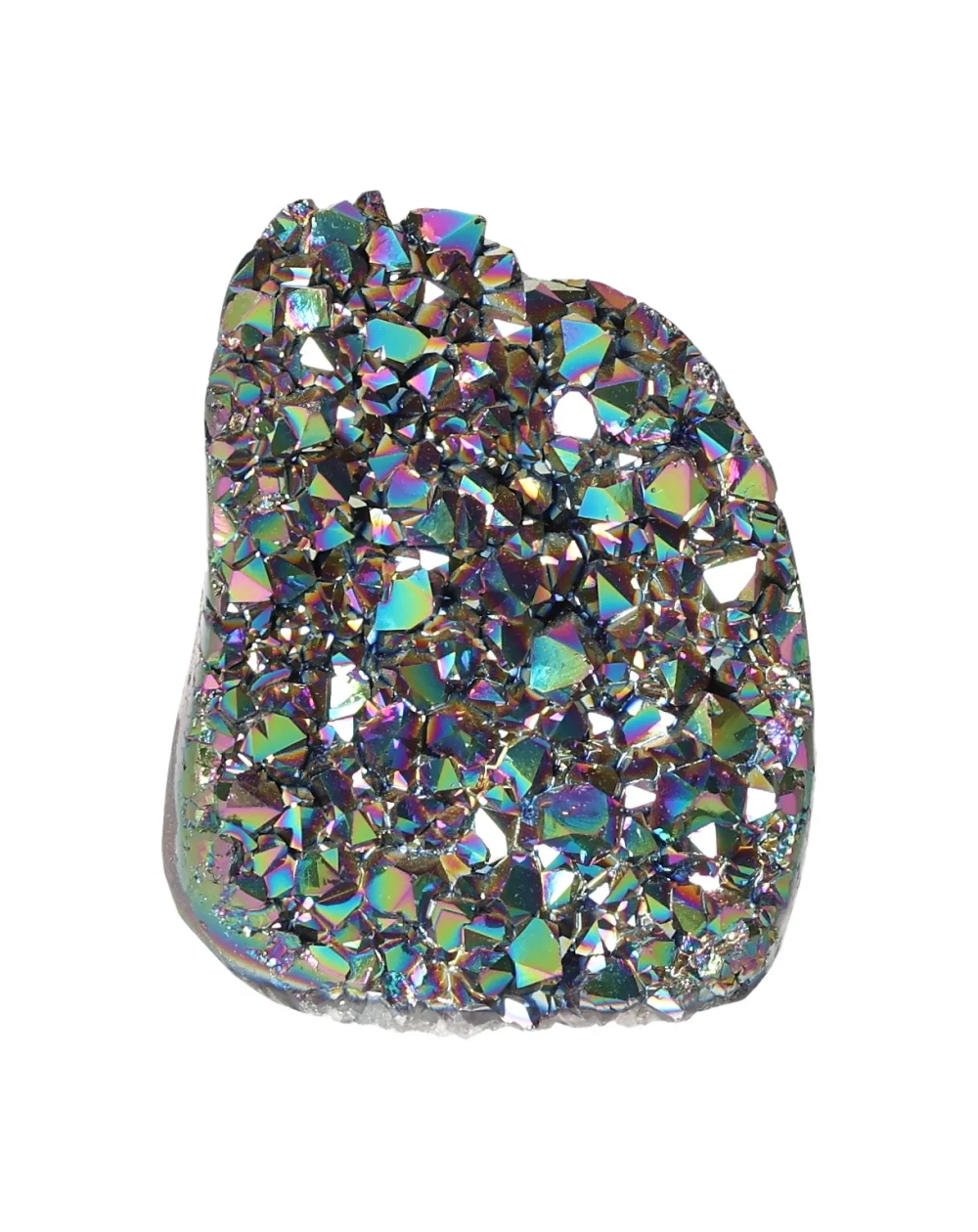 orbitvu|type:image2d