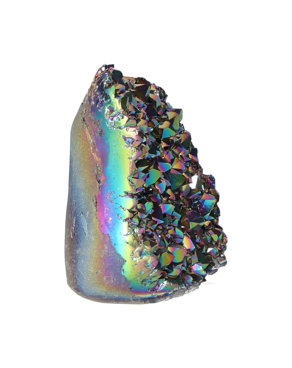 orbitvu|type:image2d