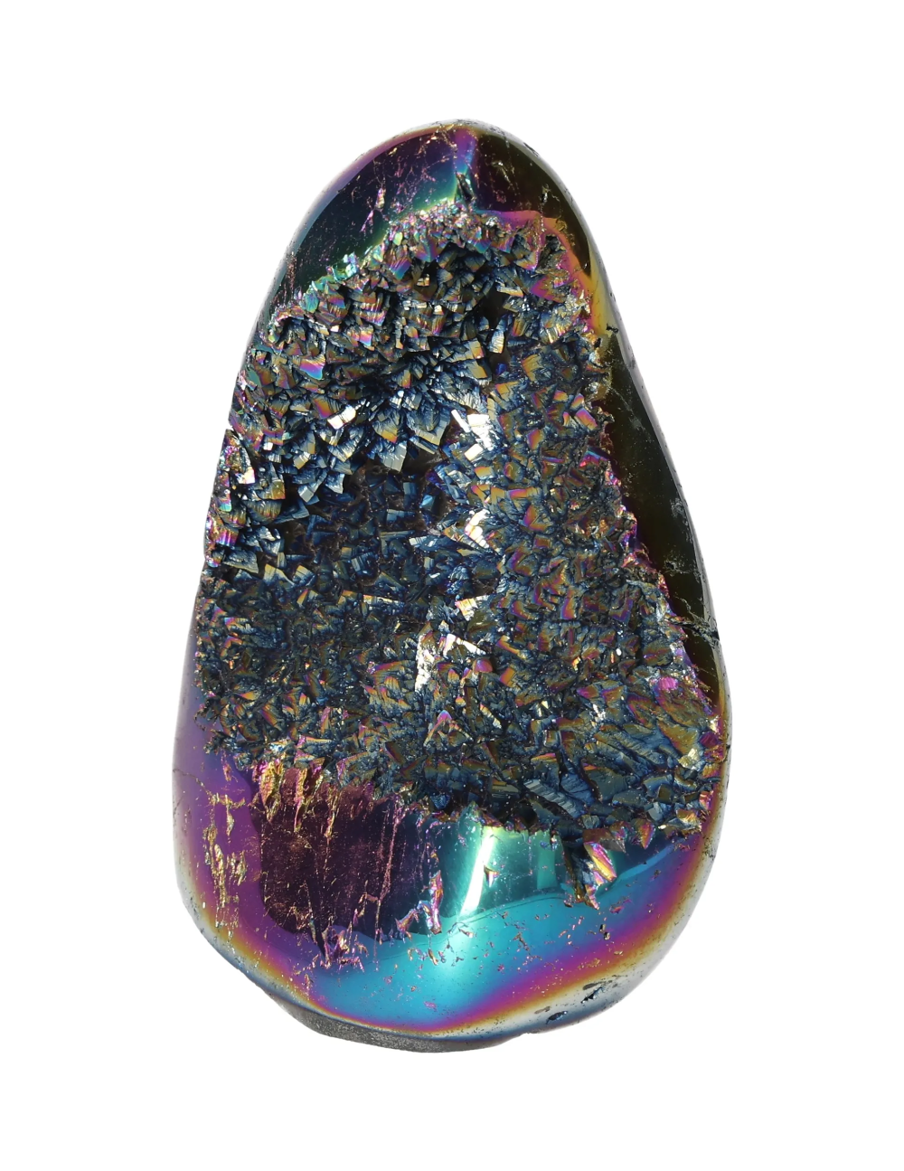 orbitvu|type:image2d