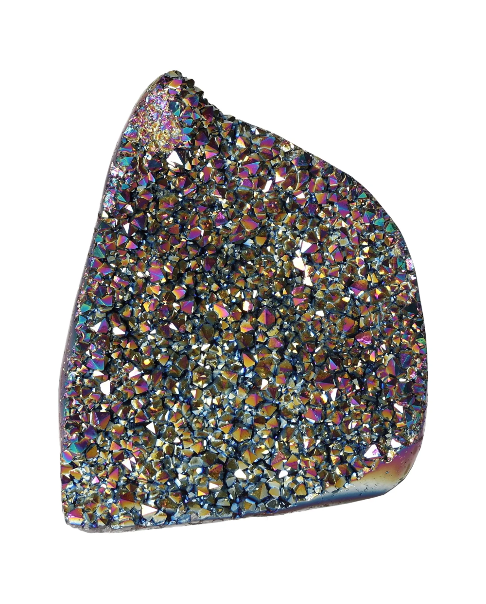 orbitvu|type:image2d