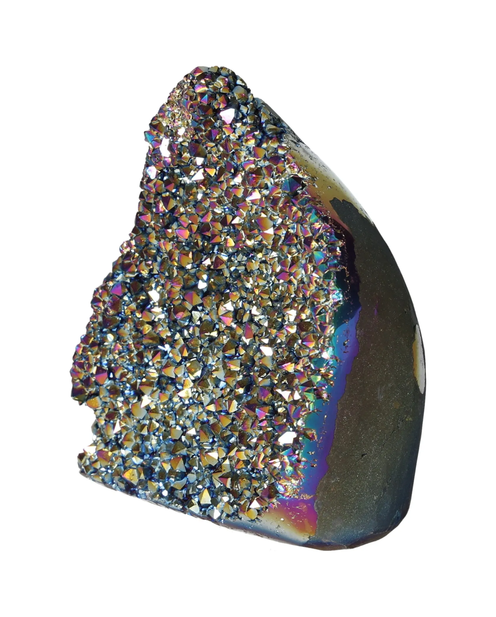 orbitvu|type:image2d