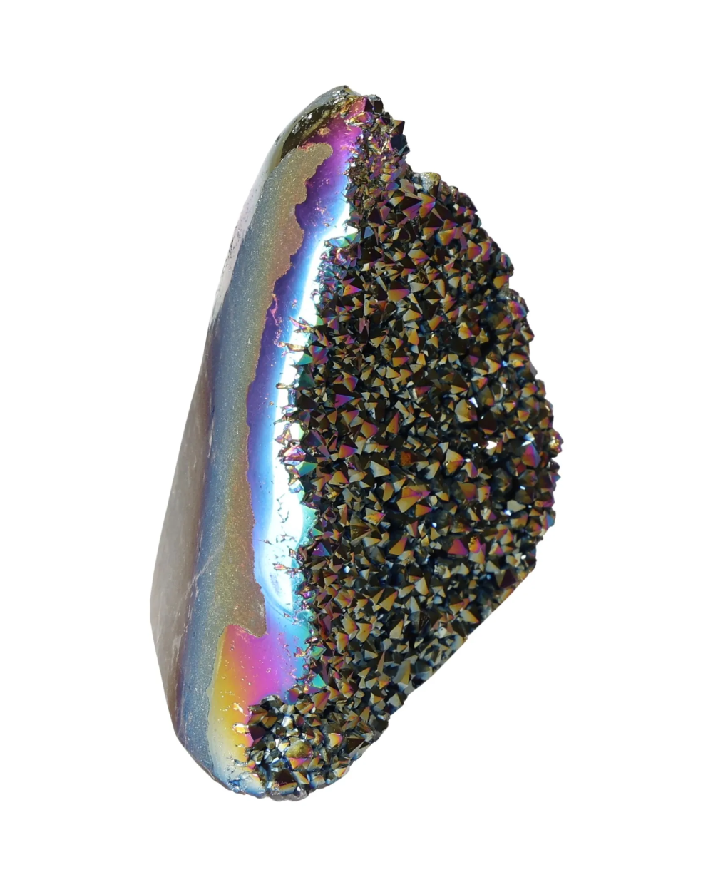 orbitvu|type:image2d