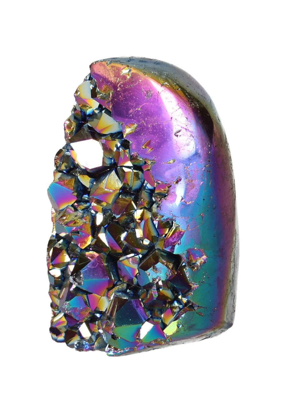 orbitvu|type:image2d