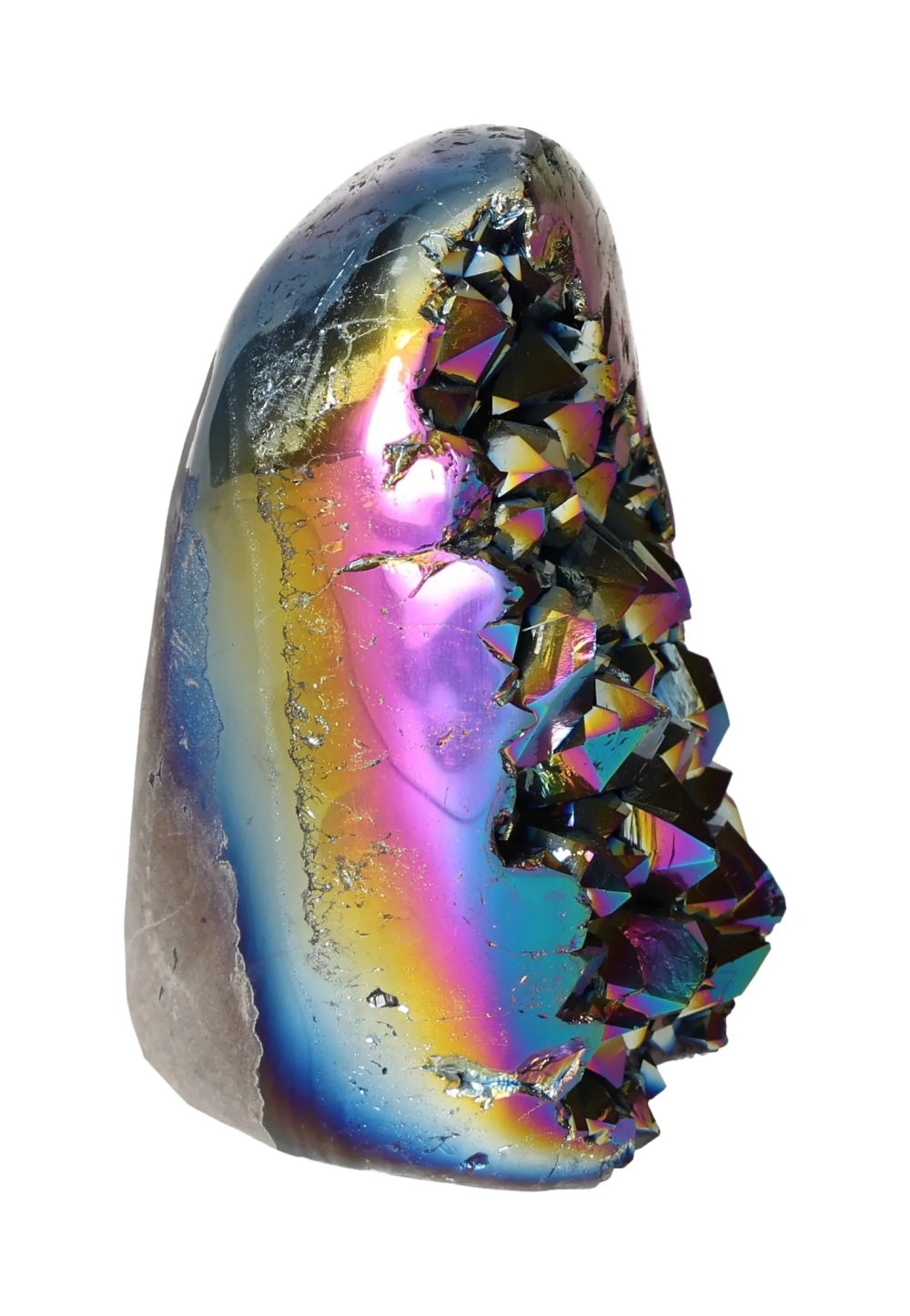 orbitvu|type:image2d