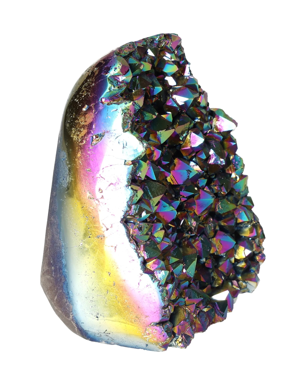 orbitvu|type:image2d